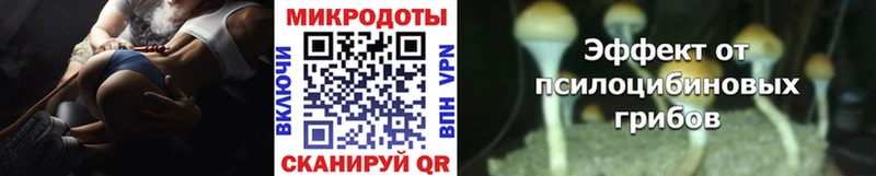 где можно купить наркотик  это телеграм  Псилоцибиновые грибы Psilocybe  Саратов 